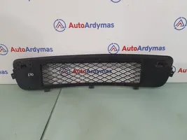 BMW X5 E70 Grille inférieure de pare-chocs avant 51117163956