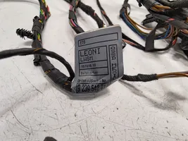 BMW X5 E70 Cableado de puerta delantera 9239542