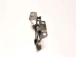 Citroen C-Crosser Engine bonnet/hood hinges RGJ2