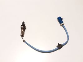 Ford Maverick Sonde lambda 1T249G444HAA