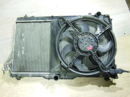 Hyundai Santa Fe Radiator set 