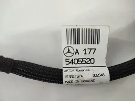 Mercedes-Benz A W177 Faisceau de câblage de porte avant A1775405520