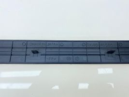 Subaru Legacy Einstiegsleiste Zierleiste vorne 94060AG060