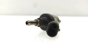 Subaru Outback Injecteur GPL 67R010213