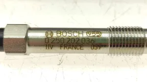 Opel Vectra C Glow plug 0250202036