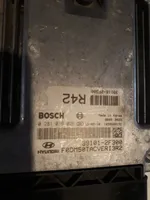 Hyundai Santa Fe Sterownik / Moduł ECU 391012F300