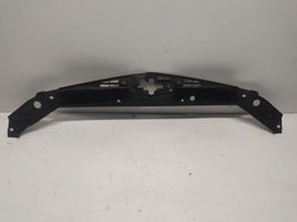 Honda Accord Rivestimento della modanatura della chiusura del vano motore/cofano 71129TL0