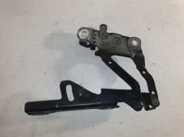 BMW 3 F30 F35 F31 Engine bonnet/hood hinges 7336700