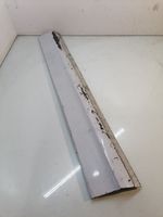 Audi Q7 4L Rivestimento della portiera anteriore (modanatura) 4L0853960