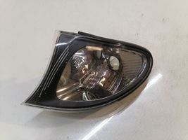 BMW X5 E53 Indicatore di direzione anteriore 6914199