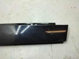 BMW X1 E84 Muu takaoven verhoiluelementti 2990884