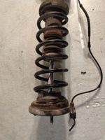 BMW 7 F01 F02 F03 F04 Rear shock absorber with coil spring 4064273