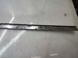 BMW 7 F01 F02 F03 F04 Moldura de la puerta trasera 7217156