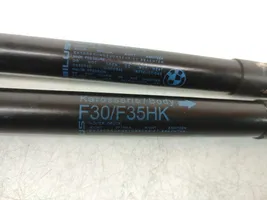 BMW 3 F30 F35 F31 Amortizatorius variklio dangčio 7259763