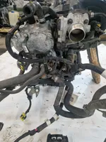 Fiat Tipo Engine 55208533