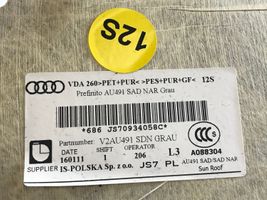 Audi A4 S4 B9 Techo 8W5867506J
