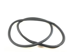 Volkswagen PASSAT B7 Front door rubber seal 3C4867911B