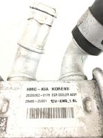 Hyundai Tucson TL EGR valve cooler 284602U001