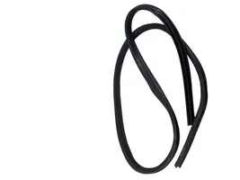 Ford Focus Rear door rubber seal (on body) BM51A20530