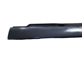 Volkswagen PASSAT B7 Sill 3AF853855