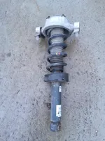 Volkswagen Touareg II Rear shock absorber/damper 