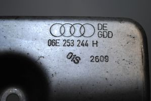 Audi Q5 SQ5 Części silnika inne 06E253244H