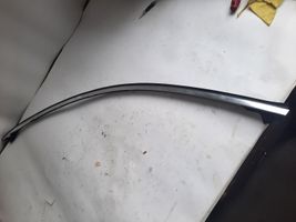 BMW X6 E71 Front door glass trim molding 