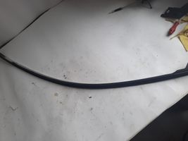 BMW X6 E71 Front door glass trim molding 