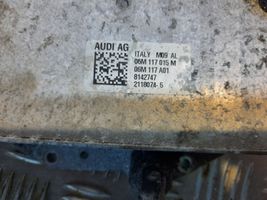 Audi A5 Variklio tepalo radiatorius 06M117015M
