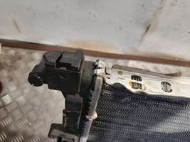 Ford Escape III Aušinimo skysčio radiatorius CV618005D