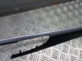 Porsche Panamera (970) Rivestimento della portiera posteriore 970555383