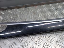 Porsche Panamera (970) Rivestimento della portiera posteriore 970555383