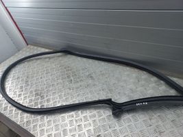 Audi A5 Gummidichtung Tür vorne 8W8831708