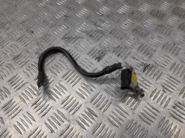 Audi Q5 SQ5 Cable negativo de tierra (batería) 8S0915181C