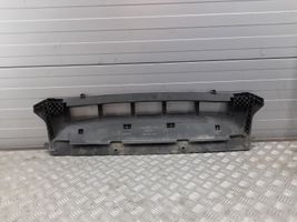 Audi Q5 SQ5 Osłona pod zderzak przedni / Absorber 8R0807233C