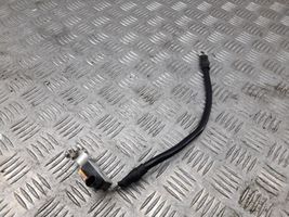 Audi A4 S4 B9 Cavo negativo messa a terra (batteria) 8S0915181