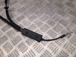 Alfa Romeo Stelvio Cable / manija del asiento trasero 