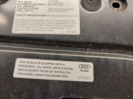 Audi S5 Motorhaube 079010533AA
