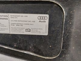 Audi S5 Motorhaube 079010533AA