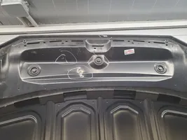 Audi A4 S4 B9 Engine bonnet/hood 