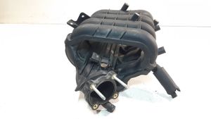 Hyundai i20 (PB PBT) Intake manifold 