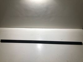 BMW 5 E39 Front door trim (molding) 8184477