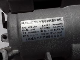 Dacia Spring Compressore aria condizionata (A/C) (pompa) 926006978R