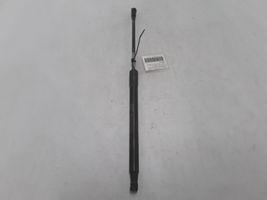 Volvo V50 Jambe de force de hayon 30799188