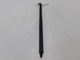 Volvo C70 Tailgate strut 30633412