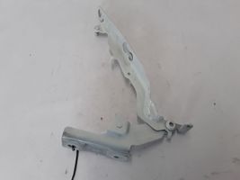 Volvo V60 Cerniere del vano motore/cofano 30799179