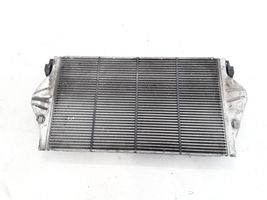 Renault Vel Satis Intercooler radiator 8200075810