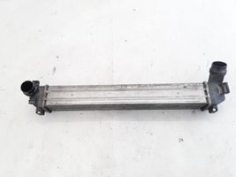 Renault Fluence Chłodnica powietrza doładowującego / Intercooler 144966078R