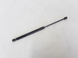 Renault Megane III Tailgate strut 844300009R