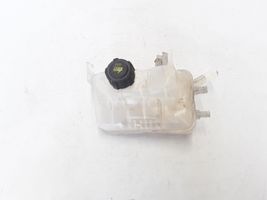 Renault Megane III Vase d'expansion / réservoir de liquide de refroidissement 217100005R